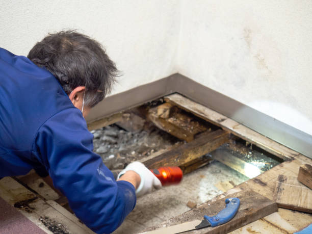 Best Mold Testing and Inspection Services in Sanatoga, PA