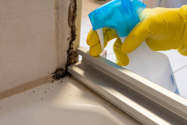 Best Commercial Mold Remediation in Sanatoga, PA