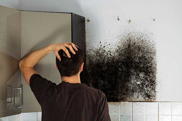 Best Kitchen Mold Remediation in Sanatoga, PA